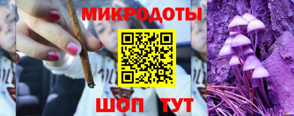 Псилоцибиновые грибы Psilocybine cubensis Вичуга