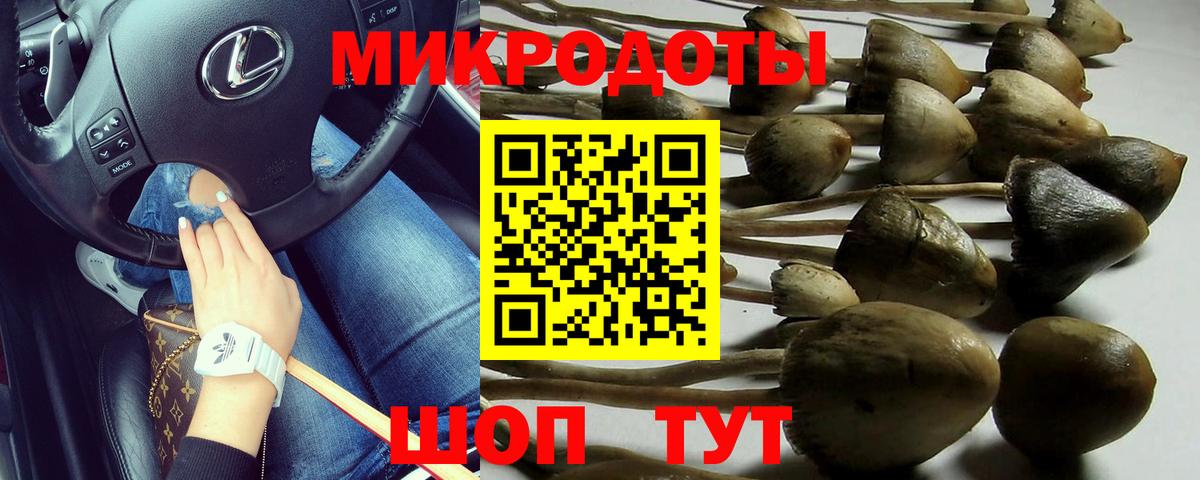 Вичуга  Галлюциногенные грибы мухоморы  Вход с VPN 